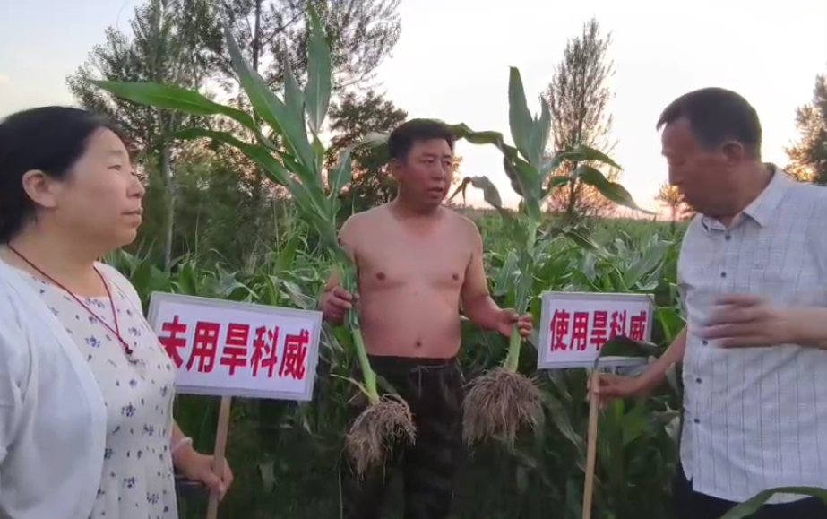 旱科威用了就是值