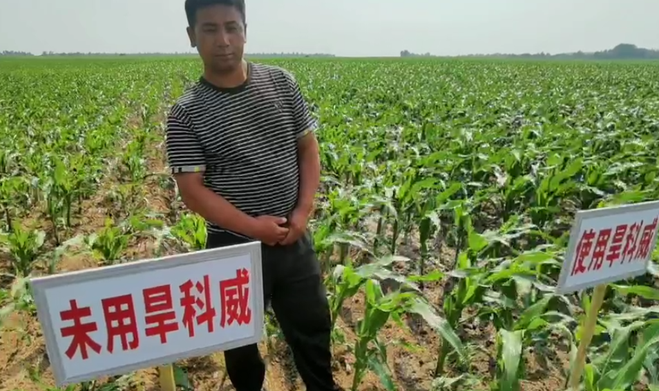用旱科威增产  农民真开心