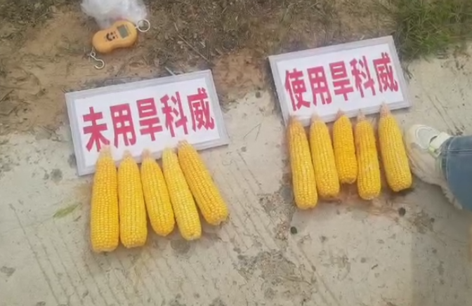 用了旱科威算账真划算